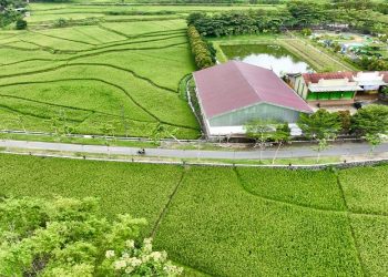 Ilustrasi - Jumlah desa mandiri di Jawa Tengah melonjak tajam pada tahun 2025. Foto: Ist.