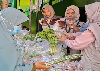 Mahasiswa KKN-Dik UMS Kelompok 19  melaksanakan program kerja Sayur Murah untuk Semua Orang (Sayang). Foto: Ist.