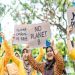 Ilustrasi - Kampanye tujuan pembangunan berkelanjutan UMS. Foto: Ist