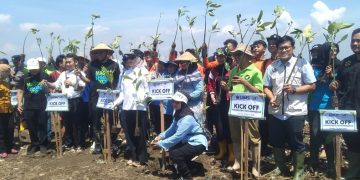 UMS berpartisipasi dalam Kick Off Penanaman 1 Juta Mangrove di pesisir Pantai Jomblom, Korowelanganyar, Kecamatan Cepiring, Kabupaten Kendal, Rabu (29/4/2026). Foto: Ist.