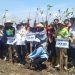 UMS berpartisipasi dalam Kick Off Penanaman 1 Juta Mangrove di pesisir Pantai Jomblom, Korowelanganyar, Kecamatan Cepiring, Kabupaten Kendal, Rabu (29/4/2026). Foto: Ist.