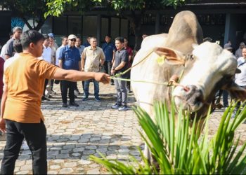 Gubernur Jawa Tengah Ahmad Luthfi mendampingi Ketua Majelis Permusyawaratan Rakyat (MPR) Ahmad Muzani dan Wakil Menteri Pertanian Sudaryono meninjau peternakan sapi Berkah Setia Farm di Kabupaten Purworejo,  Sabtu (25/4/2026). Foto : Ist.