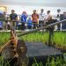 Pemerintah Provinsi Jawa Tengah menggelar pameran Abhirama Ranggawarsita 2026 di Museum Ranggawarsita Semarang pada 6–10 Mei 2026. Foto: Ist.