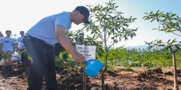 Gubernur Jawa Tengah, Ahmad Luthfi melakukan penanaman pohon dalam rangka konservasi dan reklamasi tambang batu andesit di Desa Kandangan, Kecamatan Bawen, Kabupaten Semarang, Rabu, 13 Mei 2026. Foto: Ist.