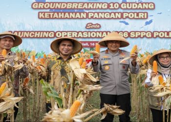 Wakil Gubernur Jawa Tengah, Taj Yasin Maimoen Panen Raya Jagung Serentak Kuartal II Tahun 2026 di Dukuh Nglarangan, Desa Teras, Kecamatan Teras, Kabupaten Boyolali, Sabtu, 16 Mei 2026. Foto: Ist.