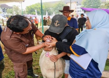 Pemprov Jawa Tengah melakukan berbagai upaya untuk memastikan kesehatan hewan kurban pada Iduladha 2026. Foto: Ist.
