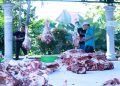 UPZ UNS menyelenggarakan program “Kurban sampai Pelosok dan Kurban Bersama Civitas” pada 27–29 Mei 2026. Foto: Ist.