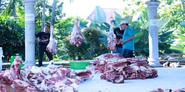 UPZ UNS menyelenggarakan program “Kurban sampai Pelosok dan Kurban Bersama Civitas” pada 27–29 Mei 2026. Foto: Ist.