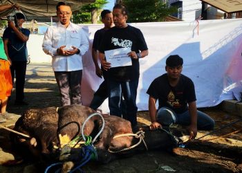 Politeknik AKBARA Surakarta bersama Griya PMI Peduli menggelar penyembelihan hewan kurban, Sabtu (30/5/2026). Foto: Ist.