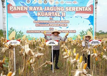 Kapolda Jawa Tengah Irjenpol Ribut Hari Wibowo dan Wakil Gubernur Jawa Tengah Taj Yasin Maimoen dan Forkopimda Provinsi Jawa Tengah menghadiri panen Raya Jagung Serentak Kuartal II Tahun 2026 di Dukuh Banjarsari RT 07 RW 03, Kecamatan Teras, Kabupaten Boyolali, Sabtu (16/5/2026). Foto : Ist.
