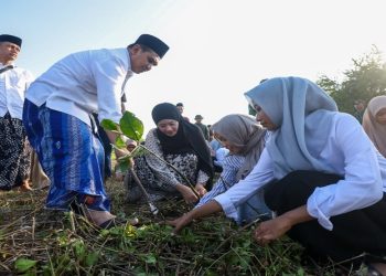 Wakil Gubernur Jawa Tengah, Taj Yasin Maimoen bersama ratusan santri melakukan penanaman pohon mangrove di Pantai Desa Temperak, Kecamatan Sarang, Kabupaten Rembang, Sabtu, 6 Juni 2026. Foto: Ist.