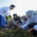 Wakil Gubernur Jawa Tengah, Taj Yasin Maimoen bersama ratusan santri melakukan penanaman pohon mangrove di Pantai Desa Temperak, Kecamatan Sarang, Kabupaten Rembang, Sabtu, 6 Juni 2026. Foto: Ist.