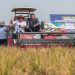 Gubernur Ahmad Luthfi saat Panen Raya Padi bersama petani di Desa Gentan, Kecamatan Bendosari, Kabupaten Sukoharjo, Rabu, 24 Juni 2026. Foto: Ist.