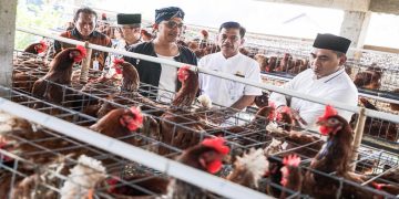 Wakil Gubernur Jawa Tengah, Taj Yasin Maimoen meninjau peternakan ayam di Desa Kranggan, Kecamatan Polanharjo, Kabupaten Klaten, Jumat 26 Juni 2026. Foto: Ist.