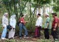 Direktur Compliance, Corporate Affairs & Legal CIMB Niaga Fransiska Oei didampingi Ketua Koperasi Syariah Wana Makmur Lestari Desa Pemepek Hardi, serta Direktur Komunikasi dan Kemitraan Yayasan KEHATI Rika Anggraini mengunjungi  area tanam konservasi bambu di Dusun Gelogor, Desa Pemepek, Lombok Tengah, Nusa Tenggara Barat, Jumat (26/6/2026). Foto: Ist.