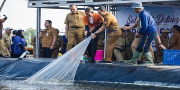 Gubernur Jawa Tengah Ahmad Luthfi panen raya udang vaname di KIW Kota Semarang pada Senin 6 Juli 2026. Foto: Ist.