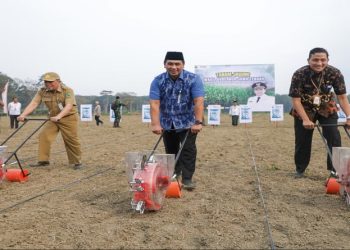 Wakil Gubernur Jawa Tengah, Taj Yasin Maimoen melakukan penanaman jagung bersama di lahan tidur 57 hektare di Desa Bandingan, Kecamatan Bawang, Kabupaten Banjarnegara Selasa, 14 Juli 2026. Foto: Ist.