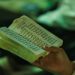 Jateng Bersholawat menandai puncak Peringatan Hari Jadi ke-81 Provinsi Jateng dan Maulid Nabi Muhammad SAW 1448 H yang digelar Minggu malam, 23 Agusts 2026. Foto: Ist.