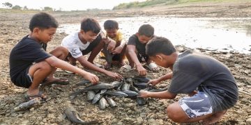 Bangkai ikan sapu-sapu yang mati di dasar Bendung Karet Sungai Juana Kabupaten Pati. Foto: Ist.