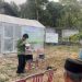 Pelatihan penggunaan alat Internet of Things (IoT) kepada petani di Desa Seboto, Kecamatan Gladagsari, Kabupaten Boyolali. Foto : Ist.