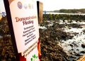 Penggunaan teknologi HexBricks untuk melindungi kawasan pesisir di Desa Timbulsloko, Kecamatan Sayung, Kabupaten Demak, Senin, 19 Oktober 2026. Foto: Ist.