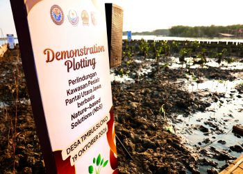 Penggunaan teknologi HexBricks untuk melindungi kawasan pesisir di Desa Timbulsloko, Kecamatan Sayung, Kabupaten Demak, Senin, 19 Oktober 2026. Foto: Ist.