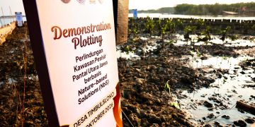 Penggunaan teknologi HexBricks untuk melindungi kawasan pesisir di Desa Timbulsloko, Kecamatan Sayung, Kabupaten Demak, Senin, 19 Oktober 2026. Foto: Ist.