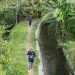 Suasana kegiatan Slamet Trail Run 2026 di kawasan Guci, Kabupaten Tegal, Minggu, 25 Oktober 2026. Foto: Ist.