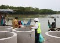 Wakil Gubernur Jawa Tengah Taj Yasin Maimoen mengecek pembangunan tanggul pantai di Desa Surodadi, Kecamatan Sayung, Kabupaten Demak, Selasa, 27 Oktober 2026. Foto: Ist.