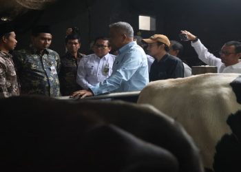 Wakil Gubernur Taj Yasin Maimoen mendampingi Wakil Menteri Pertanian, Muhammad Saleh Mustafa saat kunjungan kerja di Sentra Sapi Perah Desa Sumberejo, Kecamatan Ngablak, Kabupaten Magelang, Jumat, 30 Oktober 2026. Foto: Ist.