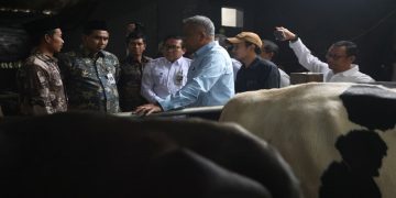 Wakil Gubernur Taj Yasin Maimoen mendampingi Wakil Menteri Pertanian, Muhammad Saleh Mustafa saat kunjungan kerja di Sentra Sapi Perah Desa Sumberejo, Kecamatan Ngablak, Kabupaten Magelang, Jumat, 30 Oktober 2026. Foto: Ist.