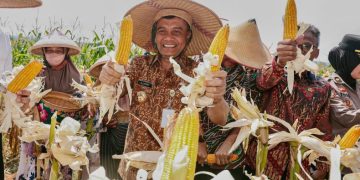 Gubernur Jawa Tengah, Ahmad Luthfi saat acara Panen Raya Jagung di lahan Gapoktan Krido Dharmo, Desa Karanganyar, Kecamatan Weru, Kabupaten Sukoharjo, Kamis (1/10/2026). Foto : Ist.